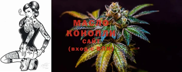 индика Кодинск