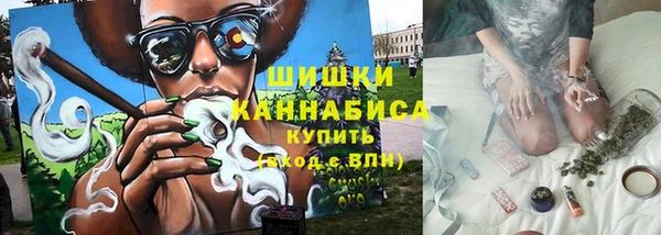 индика Кодинск